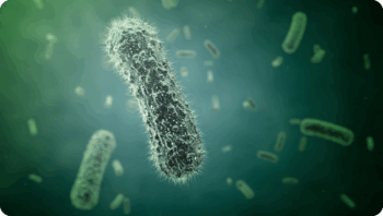 Egoistisches Immunsystem